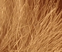 Samsung NX100: "zrcadlovka" do kapsy