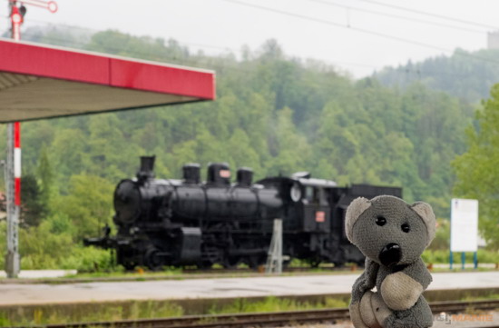 Koala cestuje: Slovinsko 2. díl (Bledské a Bohinjské jezero)