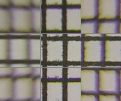 Megatest ultrazoomových objektivů