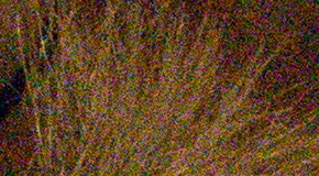 Nikon D7200: přesvědčivé zrcadlo