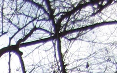 Canon PowerShot SX130 IS: levný všeuměl