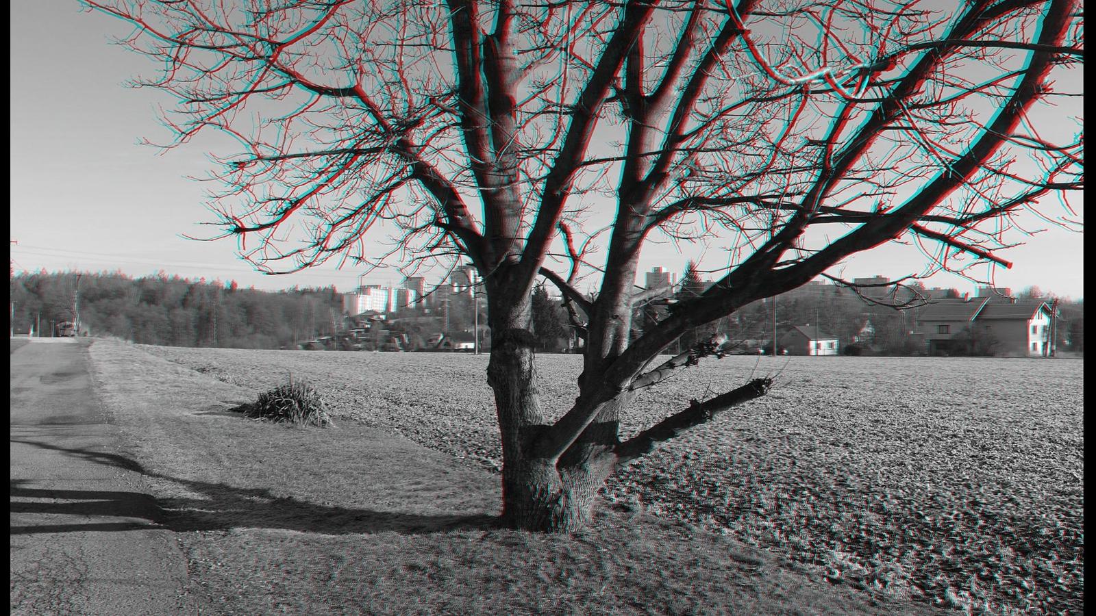 Samsung EX2F: významný krok vpřed