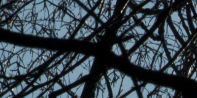 Nikon 1 NIKKOR 30-110mm 1:3,8-5,6 VR