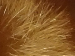 Sony Cyber-shot WX7: překoná skvělou WX5?