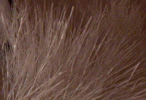 Sony a3000 (ILCE-3000): CSC co nejlevněji