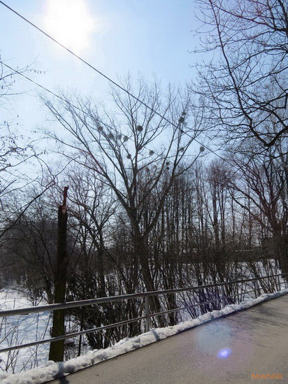 Canon PowerShot SX50 HS: překvapivá kombinace