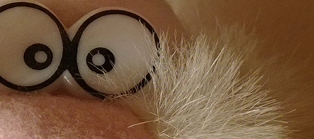 Nokia Lumia 1020 vs. 808 PureView