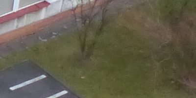 Panasonic Lumix FZ200: ultrazoomové překvapení roku