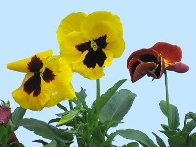 Tipy a triky nejen pro začátečníky, díl 11. - Prověření fotoaparátu po nákupu II.