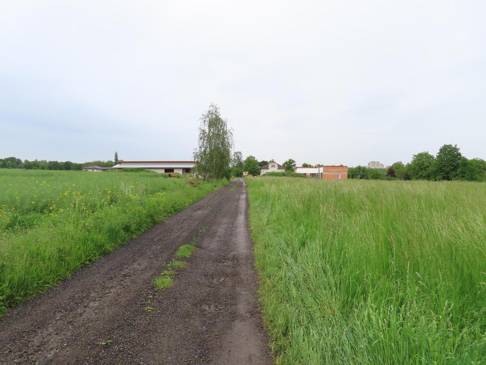 Canon PowerShot SX740 HS: bytelný univerzál