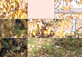 Panasonic Leica DG Vario-Summilux 25-50mm F1.7 ASPH.