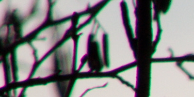 Nikon AF-S NIKKOR DX 55-300mm 1:4.5-5.6G ED VR