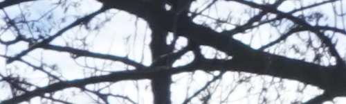 Sony FE 28-70mm F3.5-5.6 OSS (SEL2870)