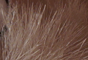 Sony a3000 (ILCE-3000): CSC co nejlevněji