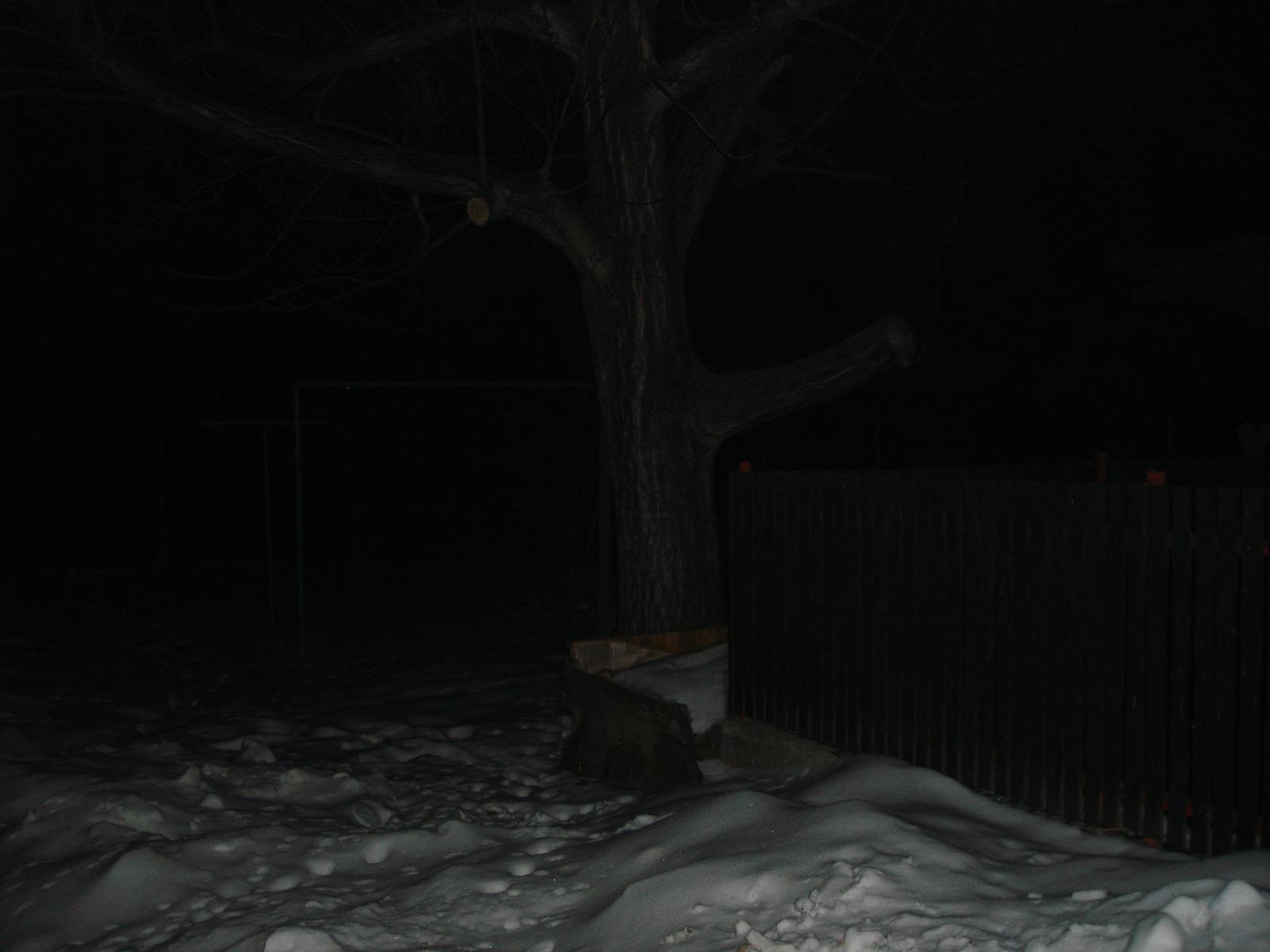 Sony Cyber-shot DSC-N1: Na dosah ruky