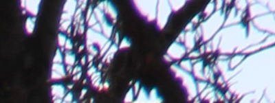 Megatest ultrazoomových objektivů