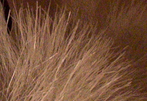 Canon EOS M: první pokus