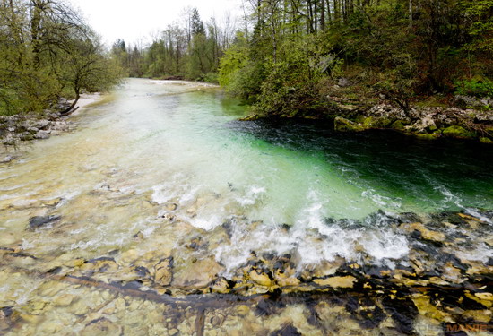 Koala cestuje: Slovinsko 2. díl (Bledské a Bohinjské jezero)