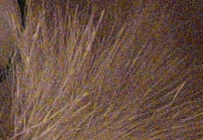 Fujifilm X-M1: našlapaná stylovka