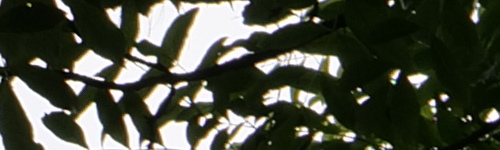 Panasonic Lumix S Pro 70-200mm F4 O.I.S.