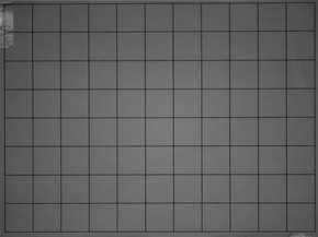 Nikon AF-S DX NIKKOR 55-200mm f/4-5.6G IF-ED VR