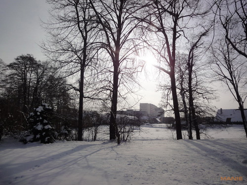 Sony Cyber-shot WX1: Vypilovaný drobek