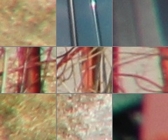 Megatest ultrazoomových objektivů