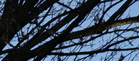 Panasonic Lumix S 20-60mm F3.5-5.6