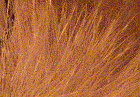 Panasonic Lumix LX7: kompaktní hvězda noci