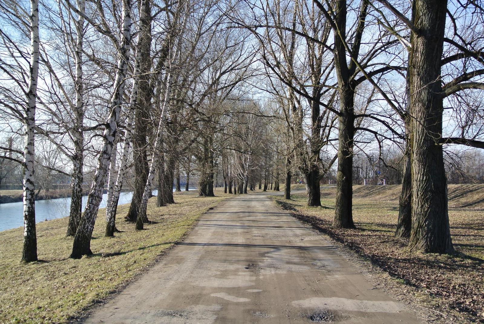 Nikon 1 NIKKOR 10-30mm 1:3,5-5,6 VR