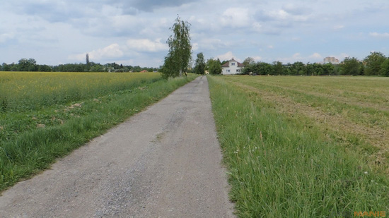 Nikon Coolpix P510: lovec rekordů