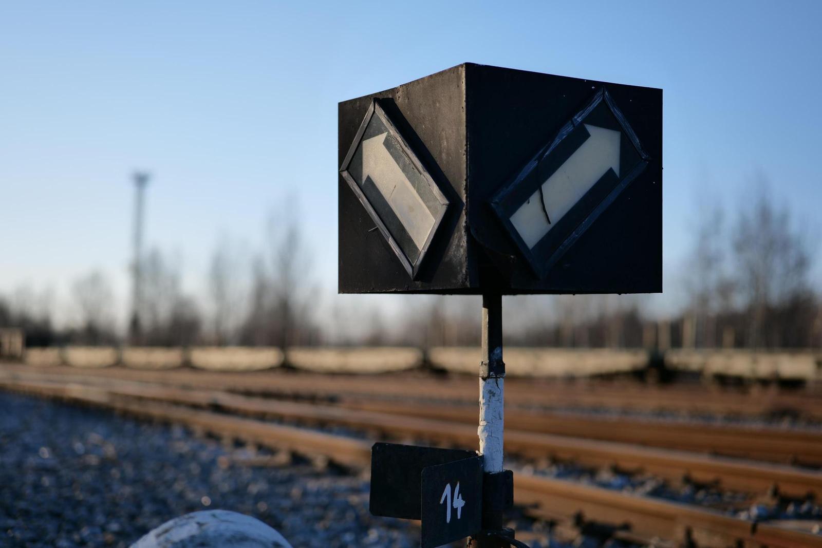 Panasonic Lumix S 50mm F1.8