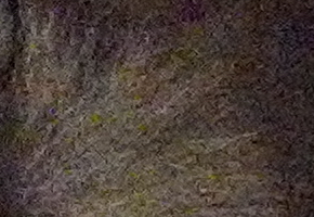 Olympus Stylus XZ-2: jednoduše skvělý