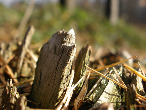 Olympus FE-370: stabilní zoom za hubičku