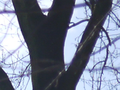 Panasonic Lumix GF1 s pancake objektivem