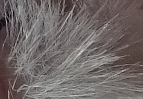 Sony Cyber-shot WX220: ostře nabitý drobek