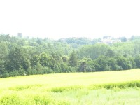 Canon PowerShot A700: Mezi kompaktem a ultrazoomem