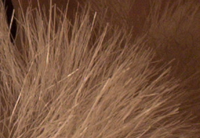 Canon EOS M: první pokus