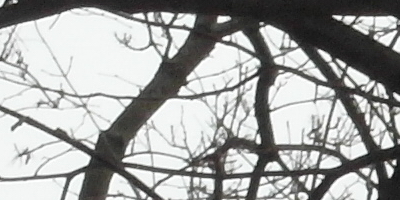 Samsung EX2F: významný krok vpřed