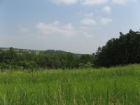 Canon PowerShot A700: Mezi kompaktem a ultrazoomem