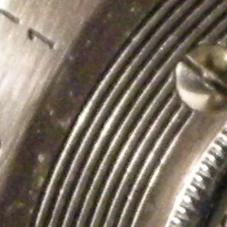 Nikon Coolpix P5100: trpělivý profesionál