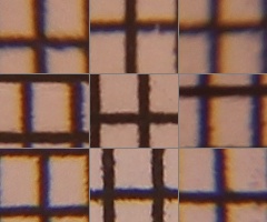 Canon EOS 550D: třídní premiant