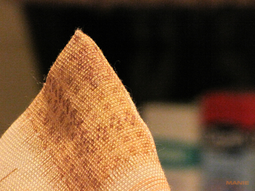 Canon PowerShot SX1 IS vs. SX10 IS: souboj CMOS a CCD