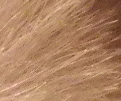 Olympus mju-7010: stylovka v růžovém