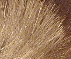 Canon PowerShot S90: malý zázrak