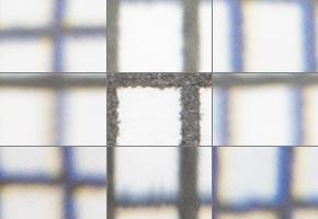 Panasonic Lumix S 24-105mm F4 Macro O.I.S.