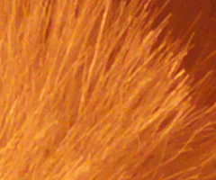 Fujifilm FinePix HS10: ultrazoom roku?