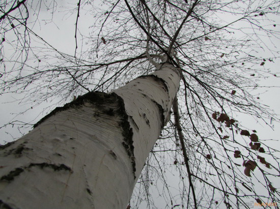 Canon PowerShot SX500 IS: fotící stroj času