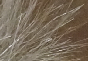 Sony NEX-5R: fázový posun k lepšímu?