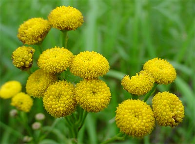 Jaký digitální fotoaparát na dovolenou? – 5.díl